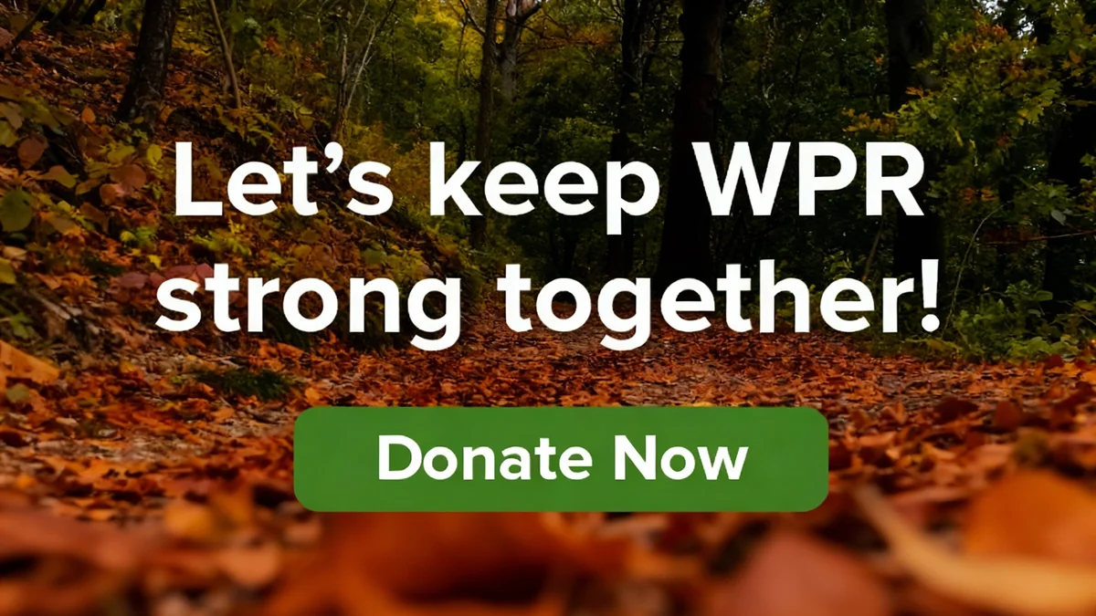 Wisconsin investiert Millionen in E-Ladesäulen